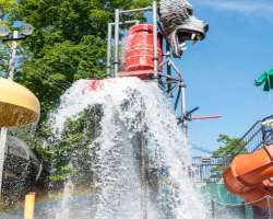 Splash Forest is the favorite ride of the visitors Splash Forest is the favorite ride of the visitors where the visitors chills at regular showers. It also has climbing nets, water cannons, and splash